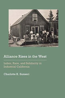 Alliance Rises in the West: Labor, Race, and Solidarity in Industrial California (Historical Archaeology of the American West)
